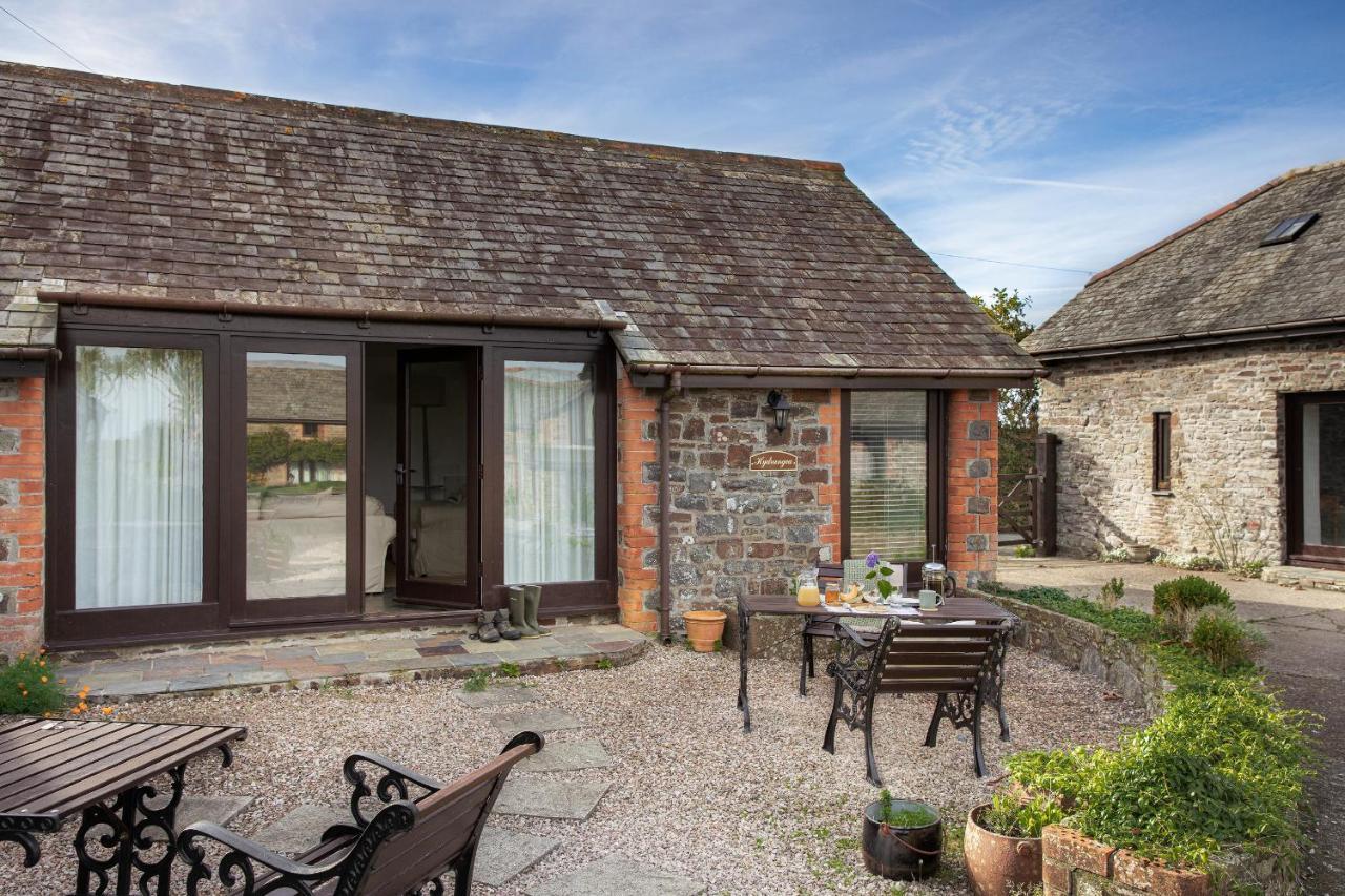 Downe Cottages Hartland Exteriér fotografie