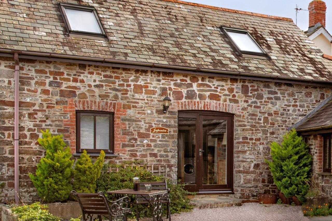 Downe Cottages Hartland Exteriér fotografie